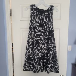 Express fit and flare dress